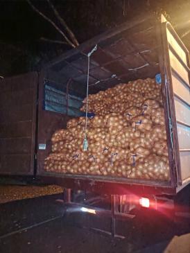 Incautan más de B/.100,000 en cebollas de contrabando en Chiriquí