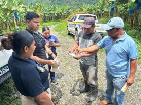 Se detecta presunto contrabando de plátanos en la zona fronteriza de Guabito, provincia de Bocas del Toro 