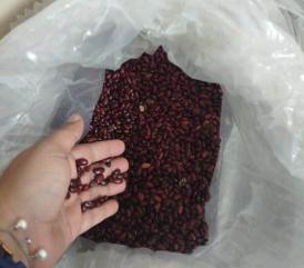 Aduanas retiene frijoles de presunto contrabando Aduanas retiene frijoles de presunto contrabando