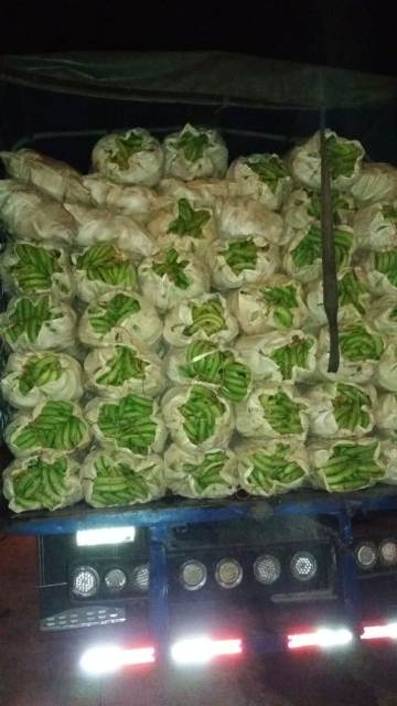 IMG 20200827 WA0006