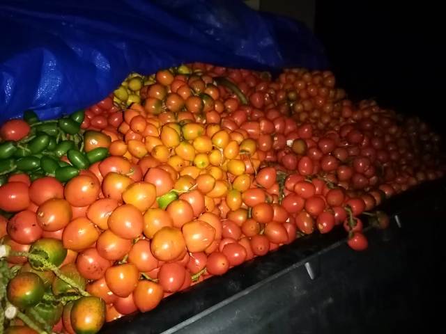IMG 20200820 WA0006