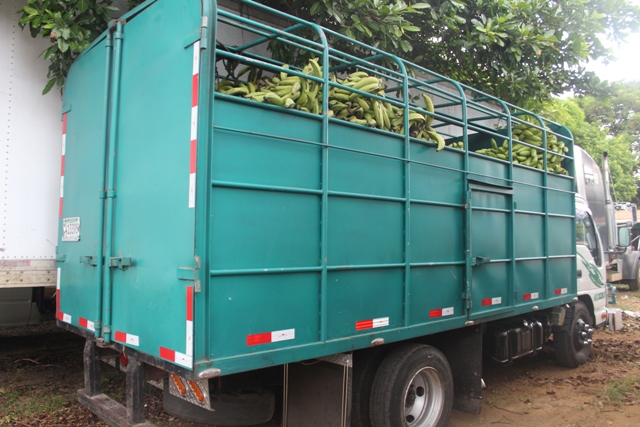 camionplatanos1