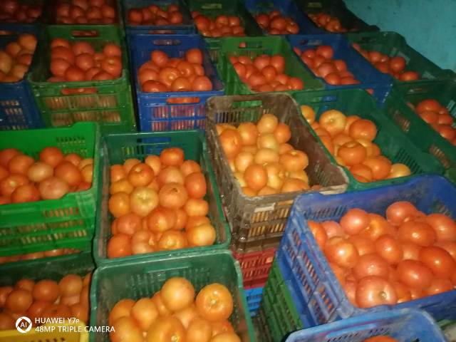 WhatsApp Image 2022 03 31 at 7.11.56 AM