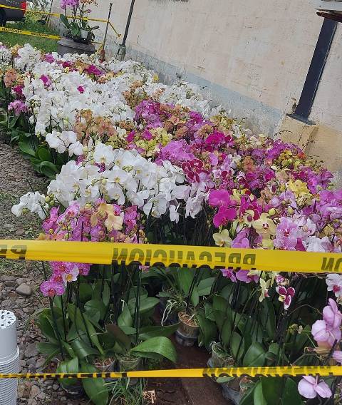 WhatsApp Image 2022 07 08 at 2.39.18 PM