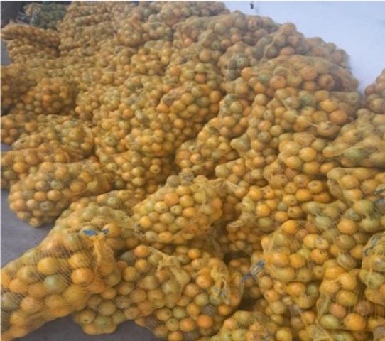 chiriqui naranja 2