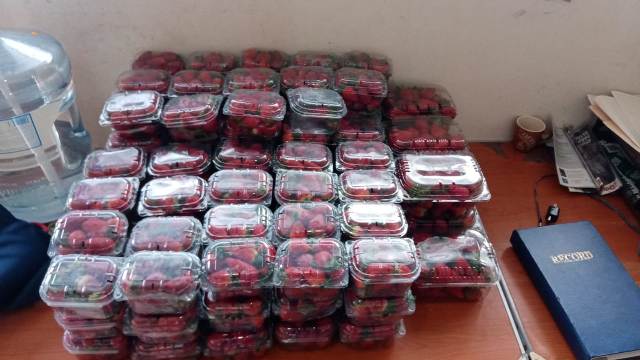 fresas