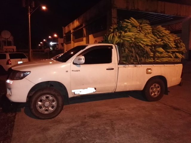 platanos