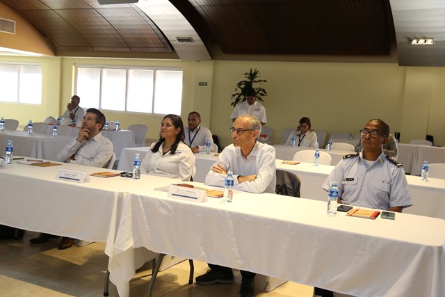 manzanillo 1