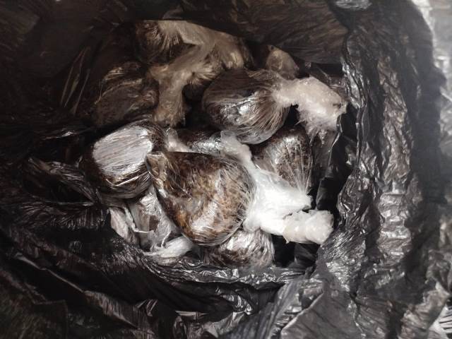 paquetes de frijoles