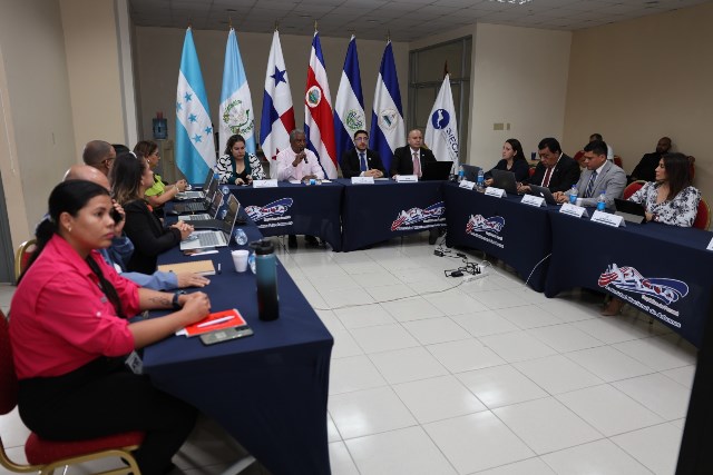 sesion taller regional