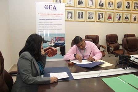 OEA 1