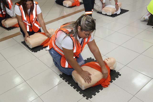 curso auxilios piad